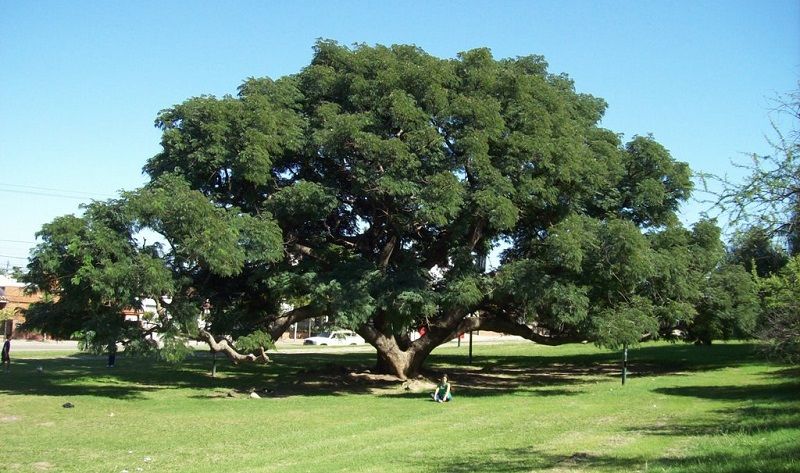 Paseos dos por uno en la Capital Parque Autóctono y Parque de las